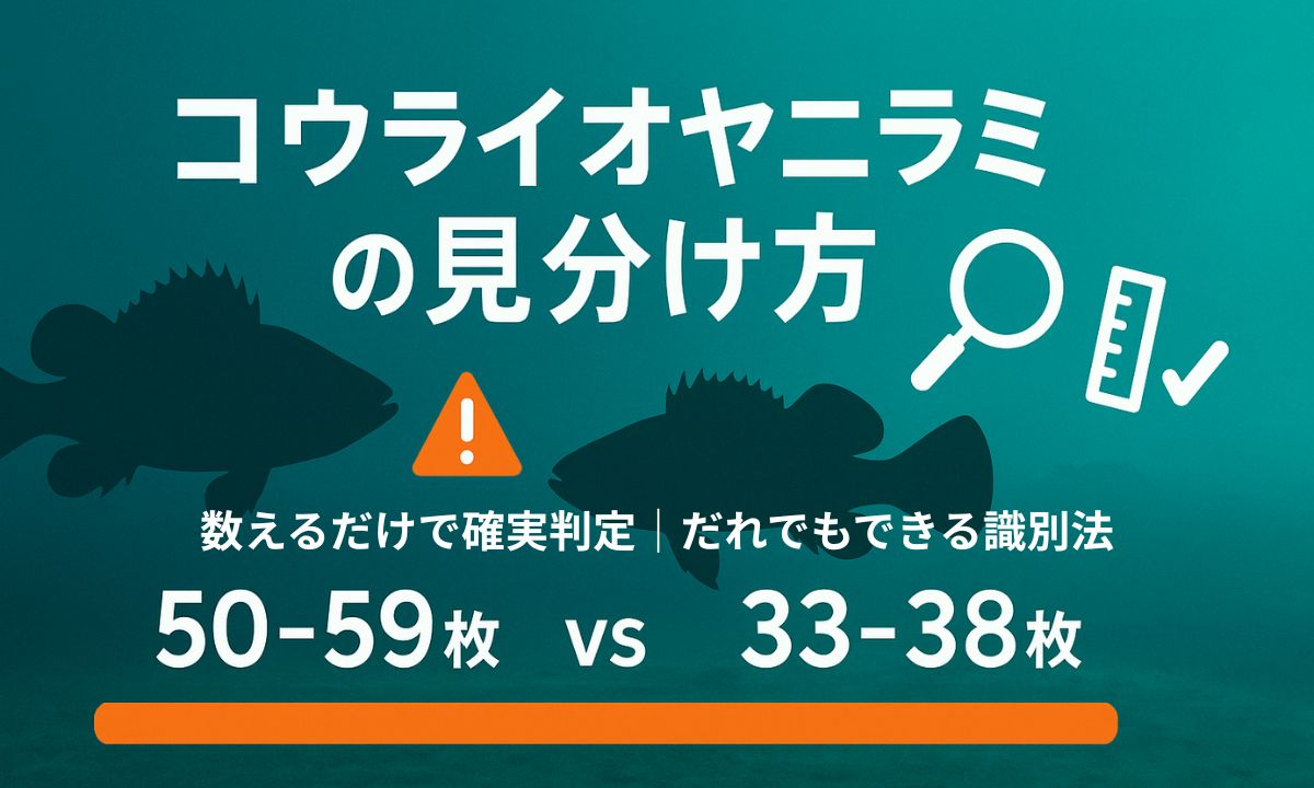 コウライオヤニラミと在来オヤニラミの見分け方を解説する記事のアイキャッチ画像。青緑のグラデーション背景にオヤニラミのシルエットと調査アイコンが配置され、「数えるだけで確実判定」という実用的な識別方法を示している。側線有孔鱗数の比較数値も表示され、中学生でも実践できる外来種判定ガイドであることを表現している。