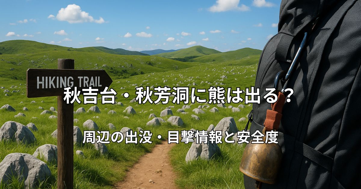 秋吉台のカルスト台地と青空。手前にはハイキング装備のクマ鈴が見える