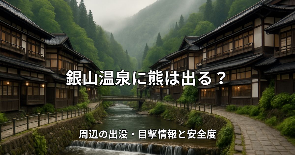 山間の谷あいにある銀山温泉の温泉街と周囲の山林風景