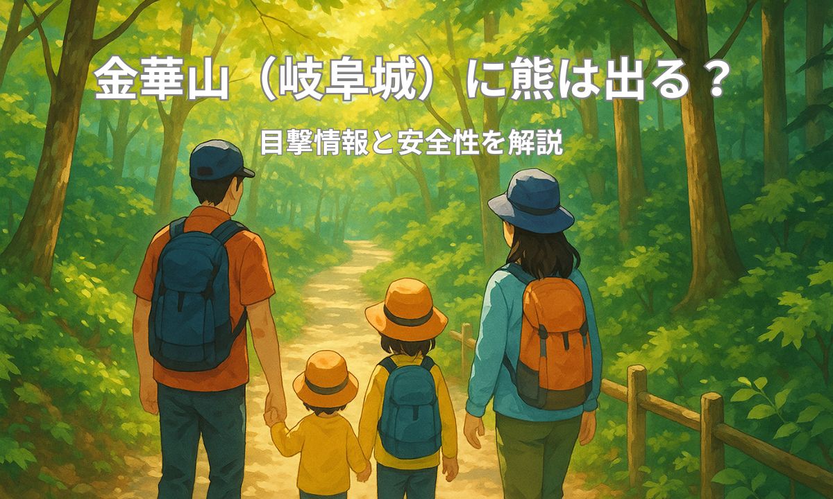 金華山の整備された登山道を日中に歩く登山者たち。明るい森の中の人通りの多い安全な登山環境を示す画像