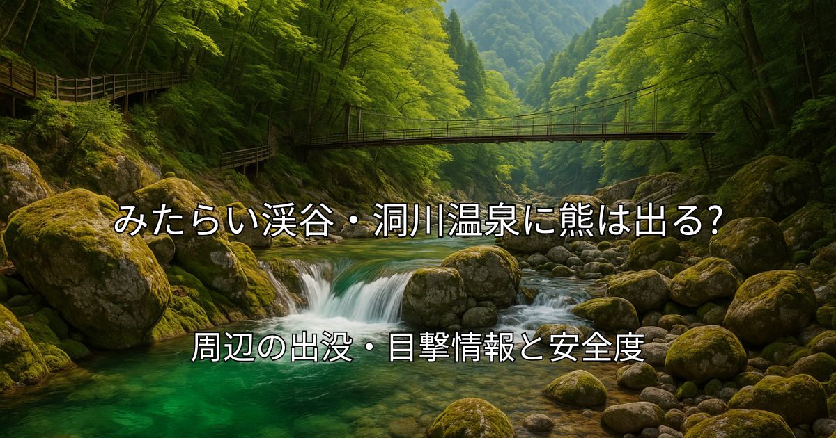 みたらい渓谷の澄んだ渓流とエメラルドグリーンの淵、森に囲まれた大峯山系の景色