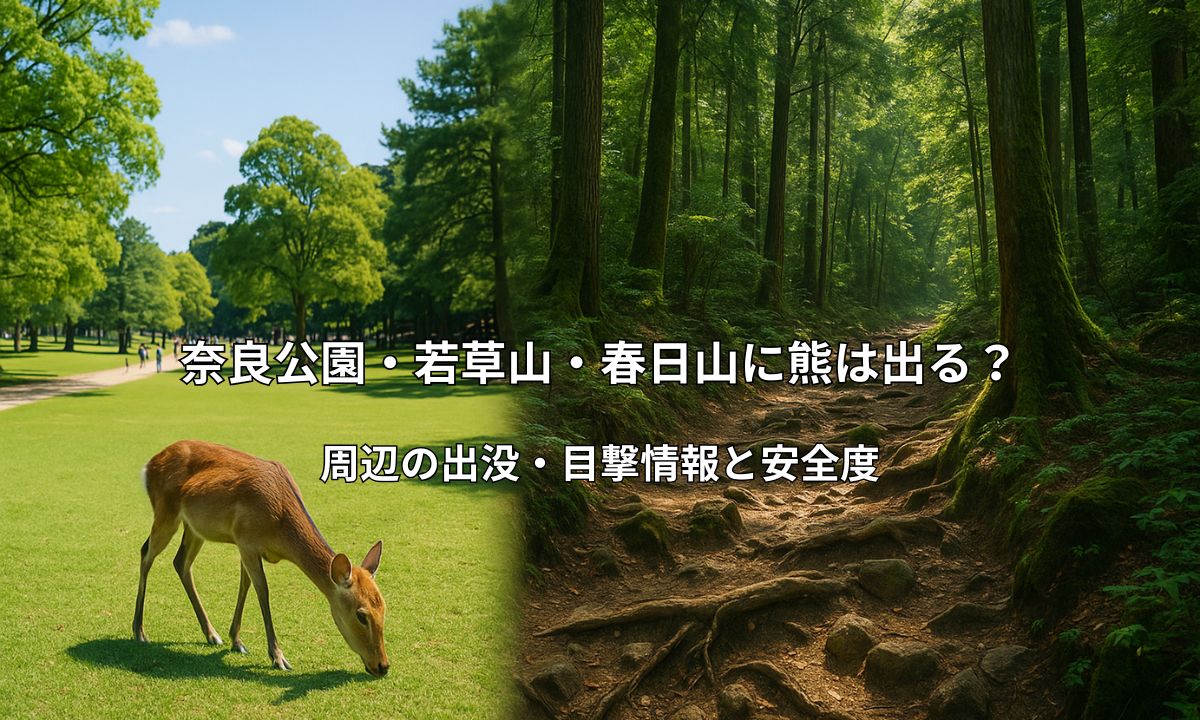 左側に明るい奈良公園の芝生エリア、右側に深い春日山原始林を配置した対比画像