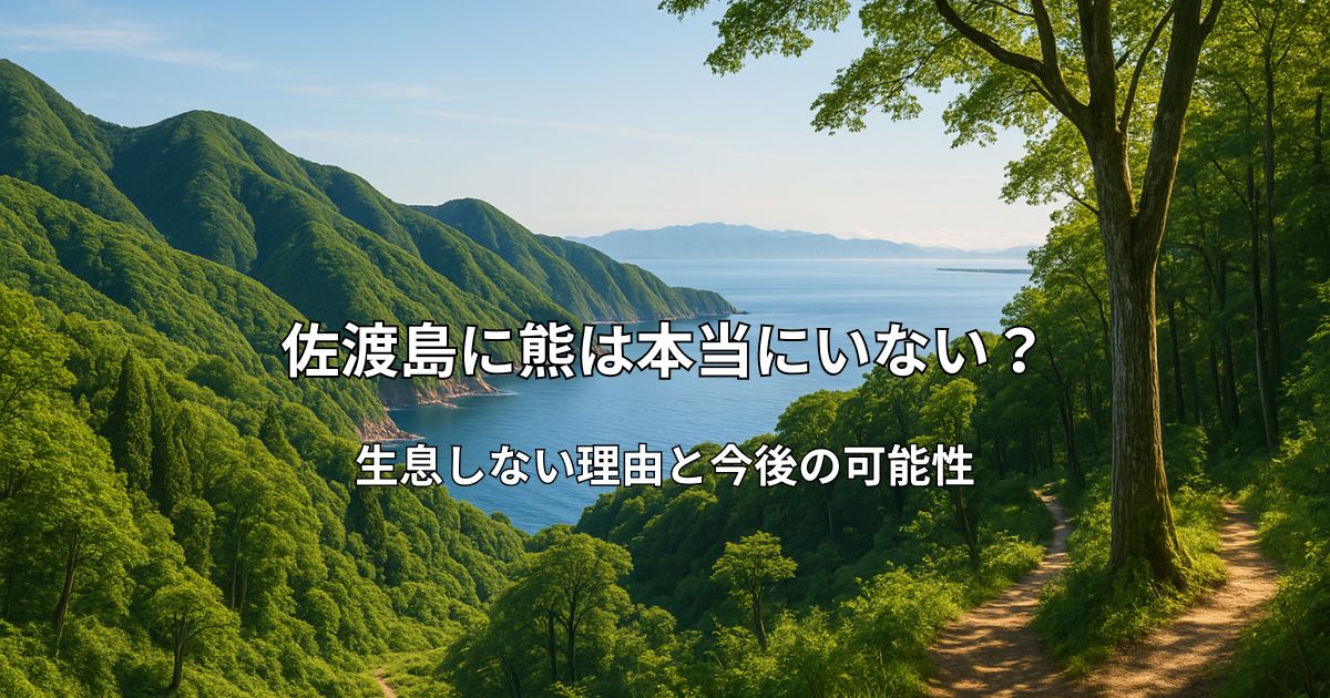 佐渡島の緑豊かな山々と海岸線の風景。熊が生息していない安全な自然環境を示す画像