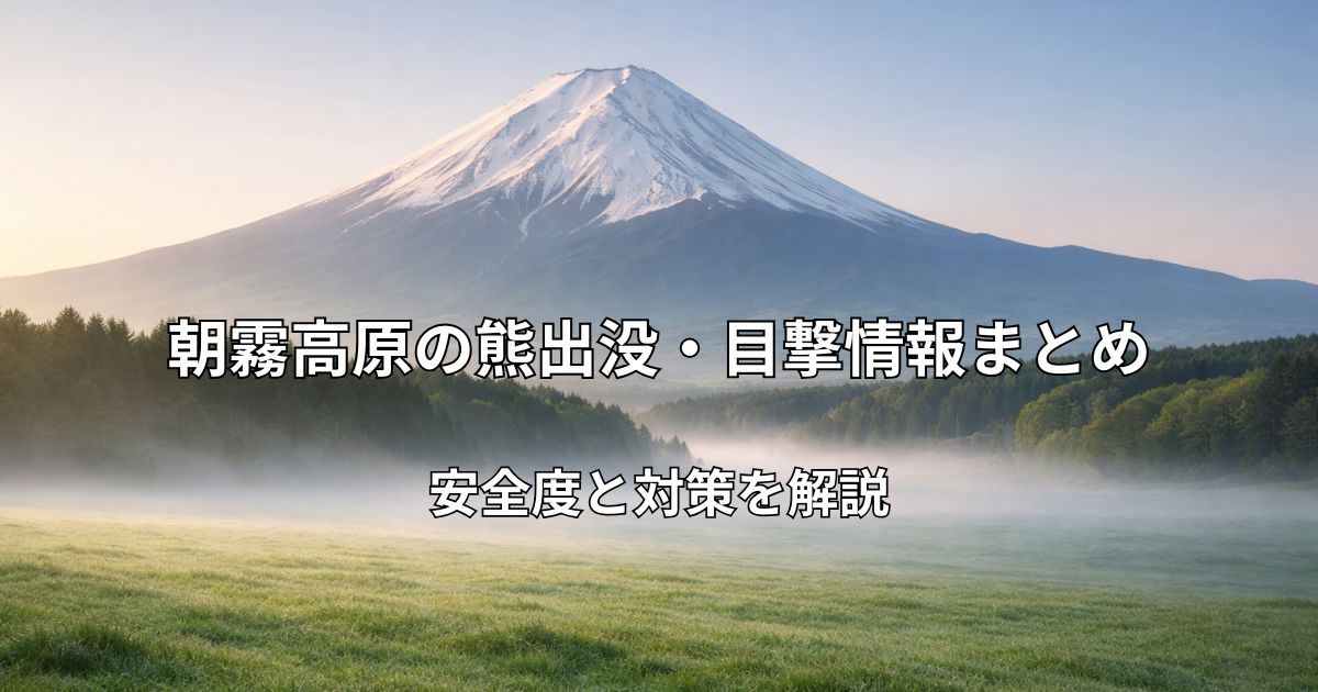 朝霧高原から望む富士山と緑の草原の風景