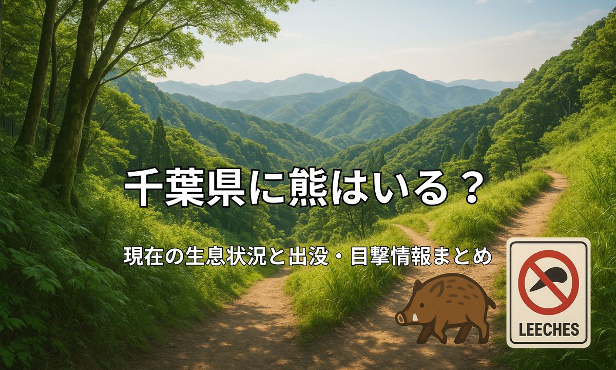 千葉県房総半島の新緑のハイキングコースと自然風景
