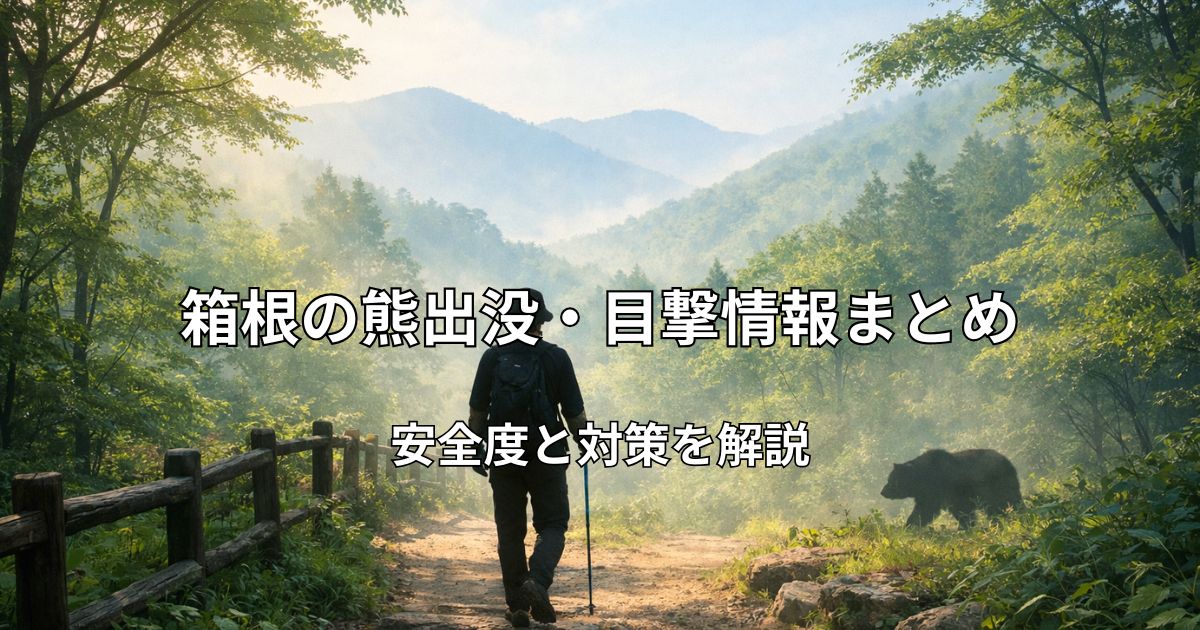 箱根の山並みとハイキングコースを歩く人のイメージ画像