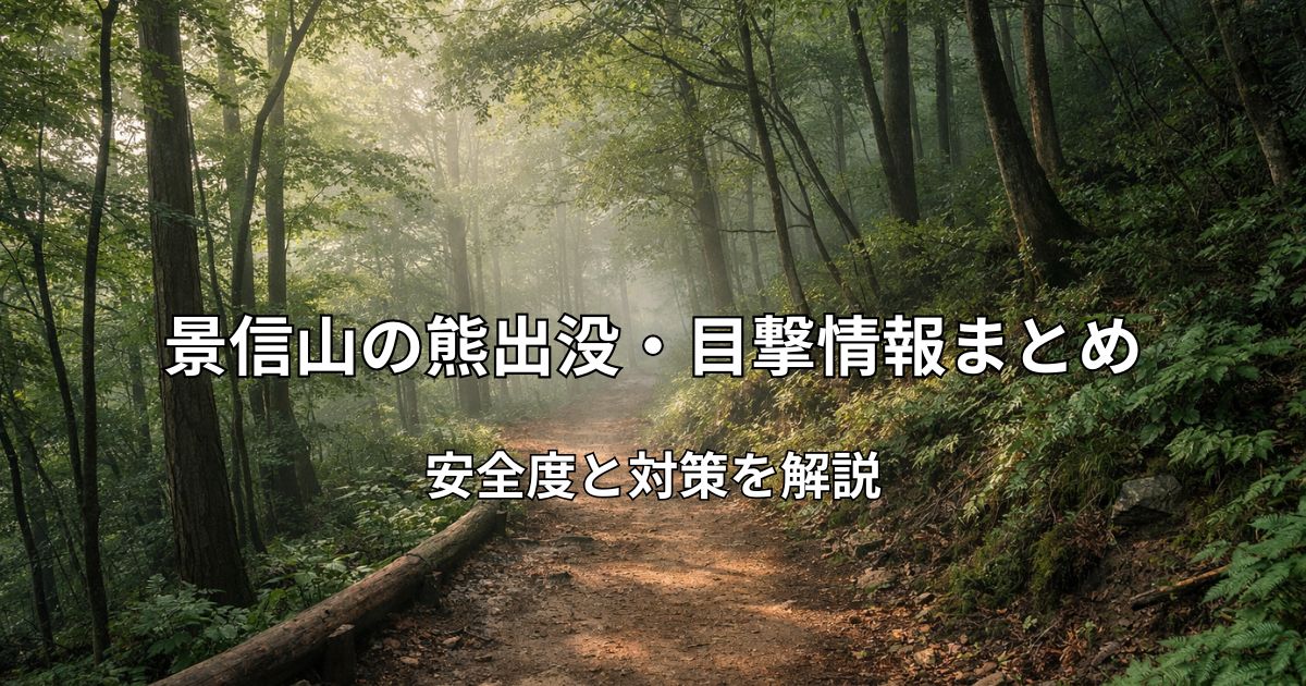 景信山の登山道と緑豊かな森林の風景
