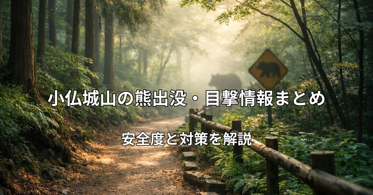 小仏城山（高尾山系）の登山道と森林の風景。早朝の木漏れ日が差し込む静かな山道