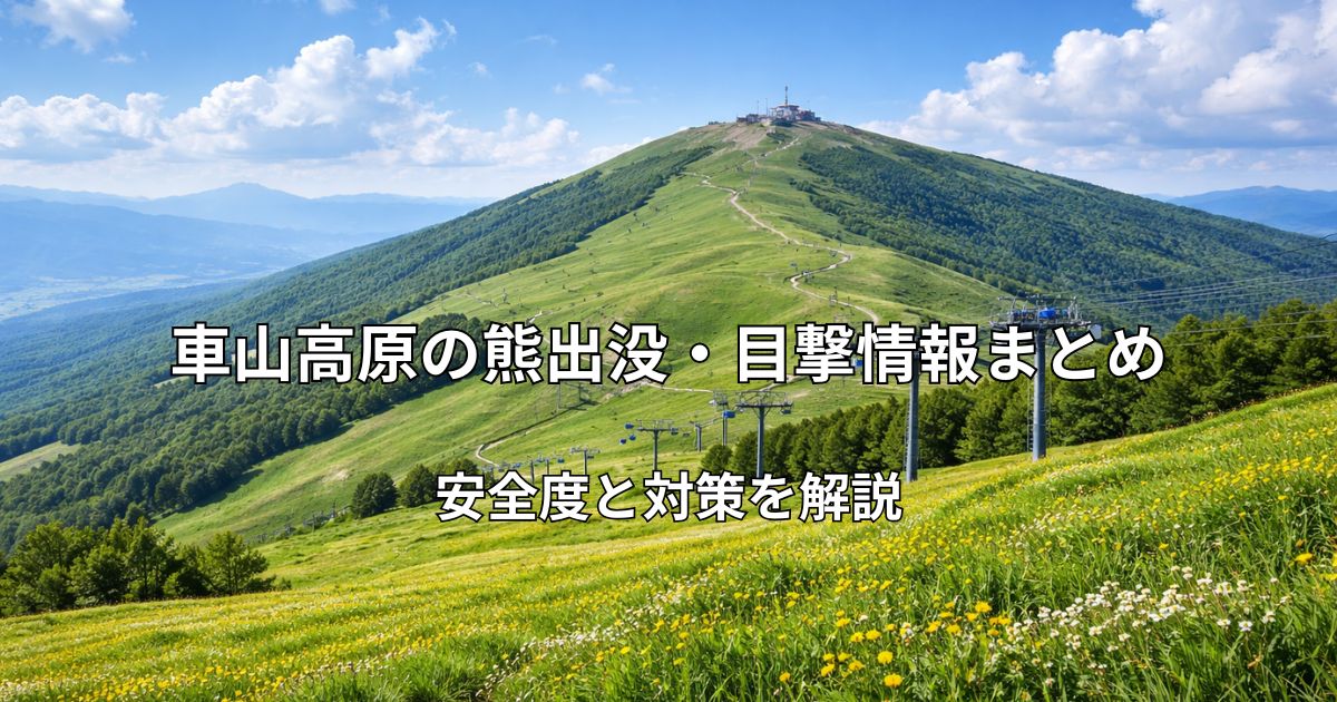 車山高原の山頂付近から見た霧ヶ峰方面の高原風景