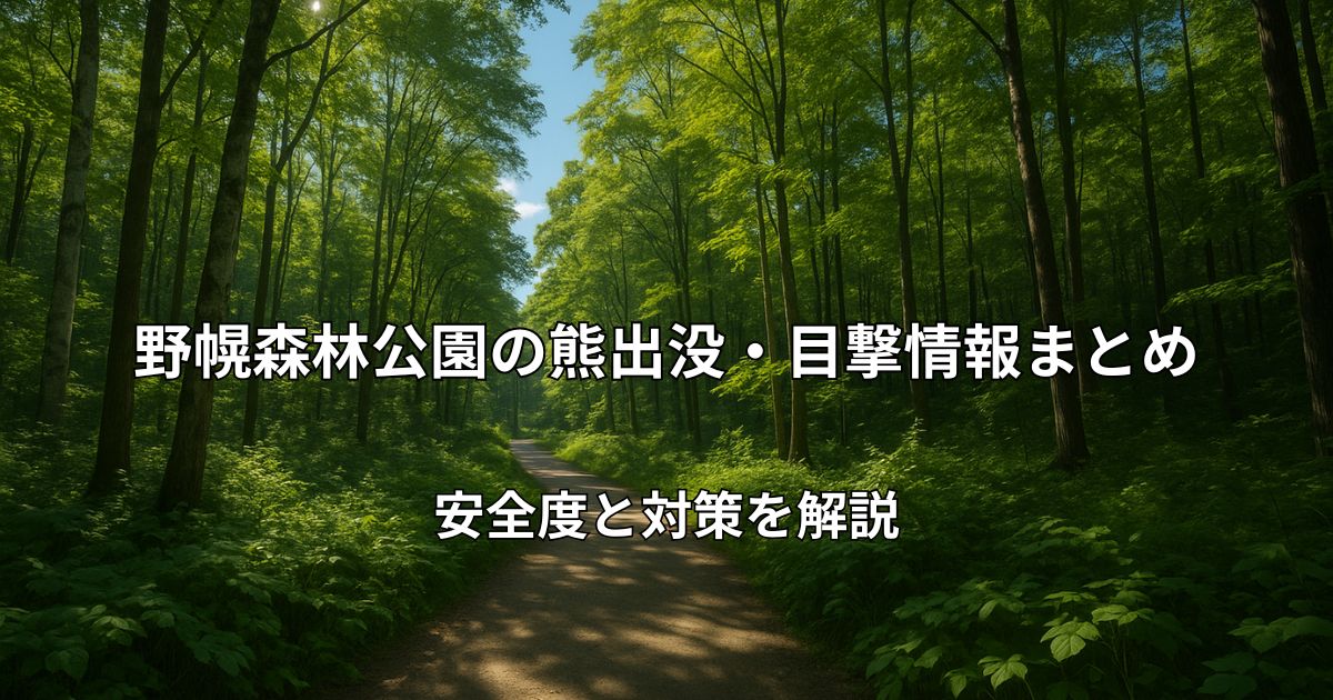 野幌森林公園の遊歩道と豊かな森林の風景