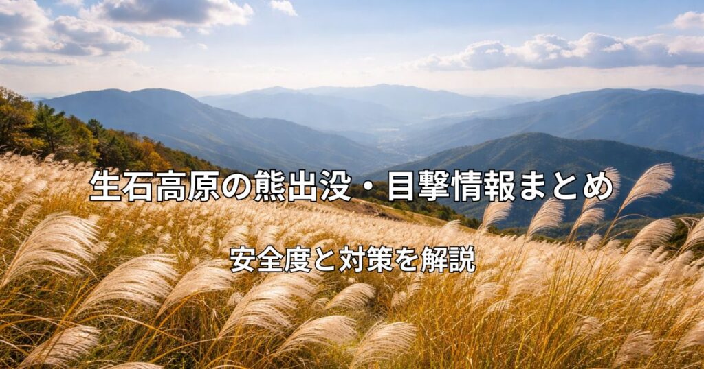 生石高原のススキが広がる風景