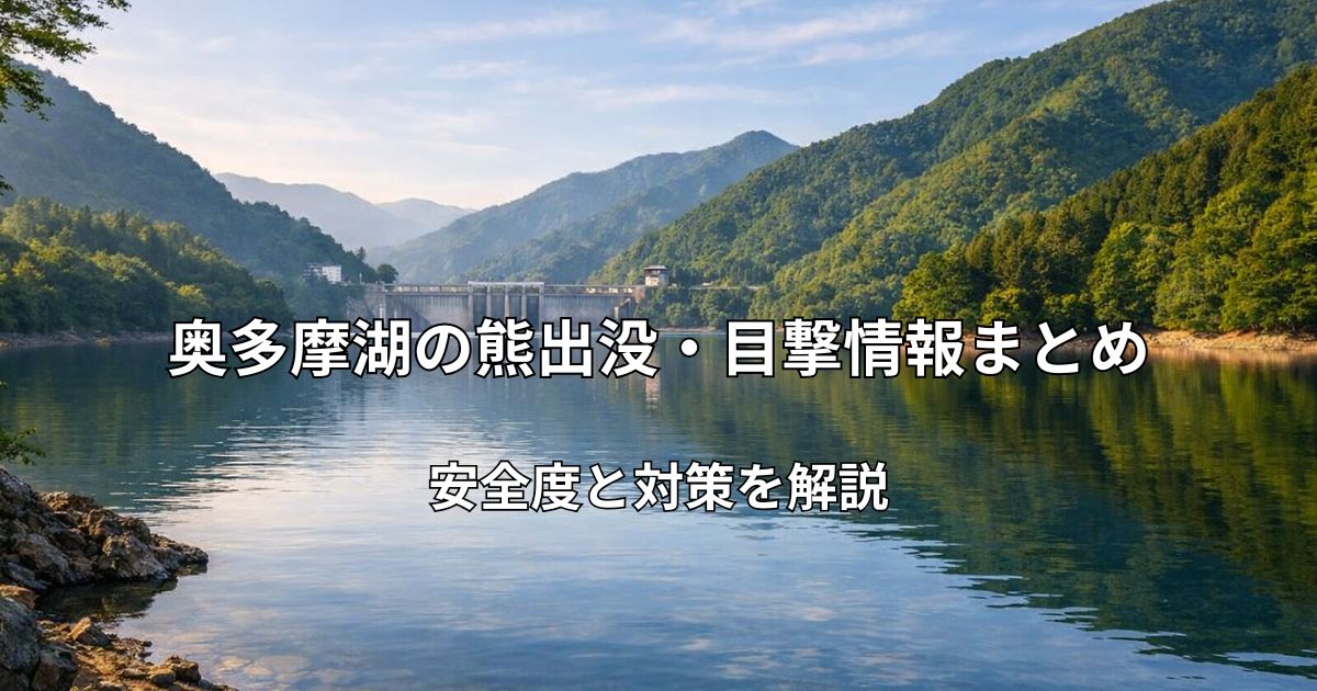 奥多摩湖の湖畔風景と周囲の山々