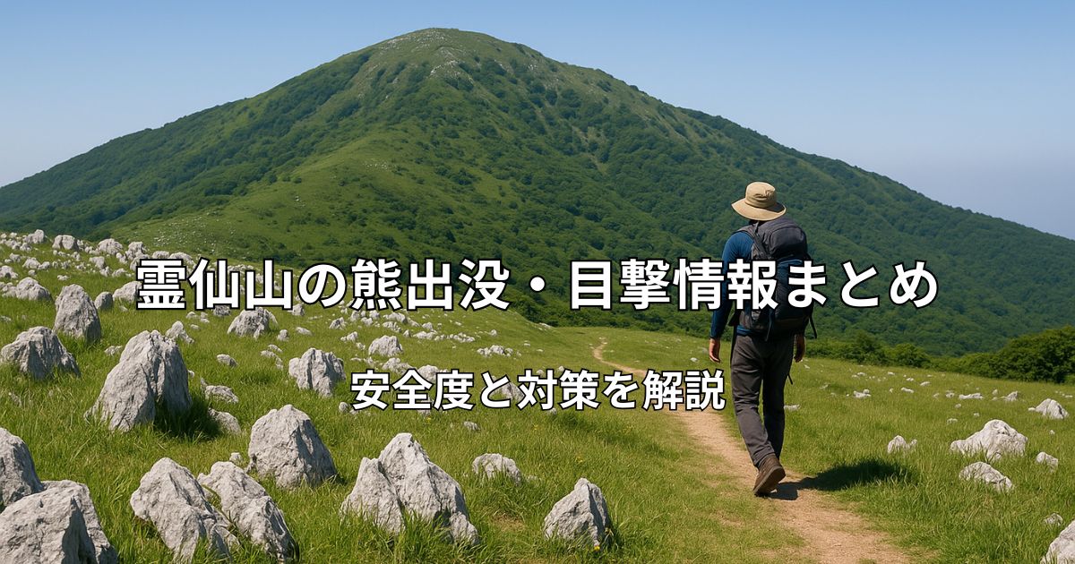 霊仙山のカルスト台地と青空、安全に歩く登山者のイメージ