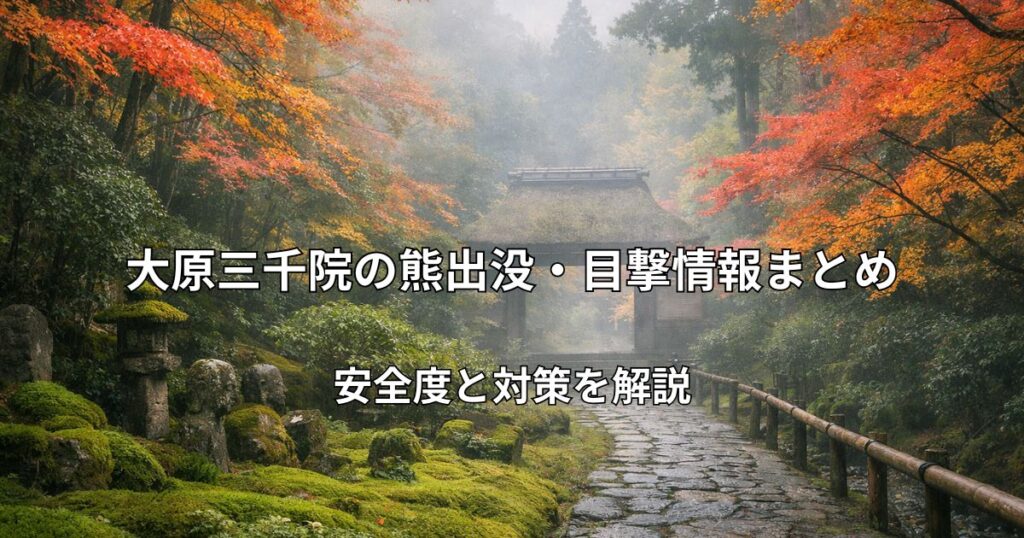 大原三千院の苔庭と紅葉が美しい秋の風景