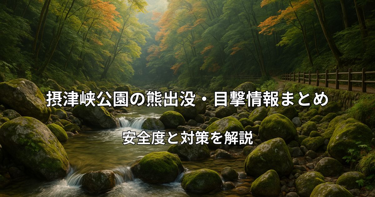 摂津峡公園の渓谷と自然豊かなハイキングコースの風景