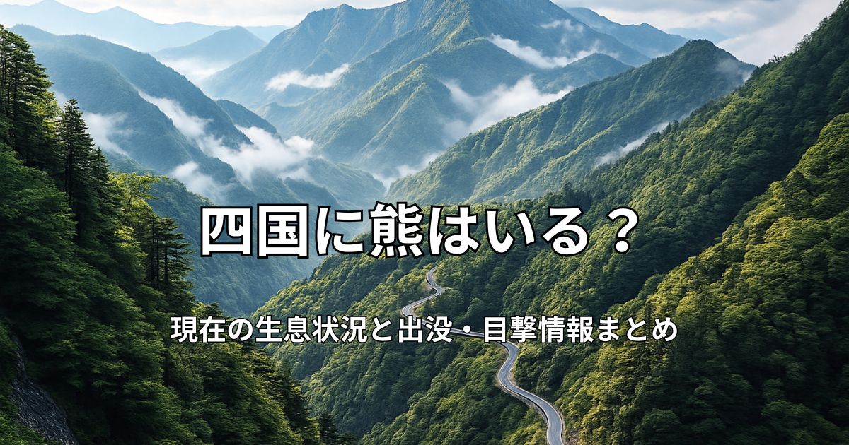 四国山地の深い緑と剣山周辺の山並み
