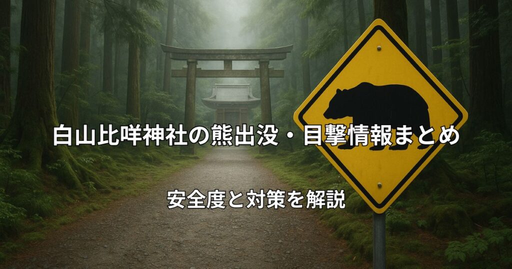 白山比咩神社の参道イメージと熊出没注意のイメージ