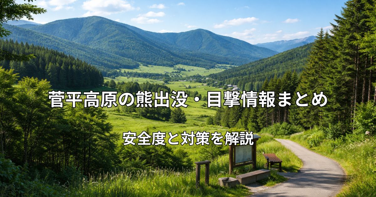 菅平高原の高原風景と周囲の森林