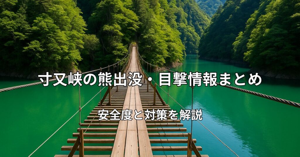 寸又峡のエメラルドグリーンの湖にかかる夢のつり橋と周囲の深い森の風景