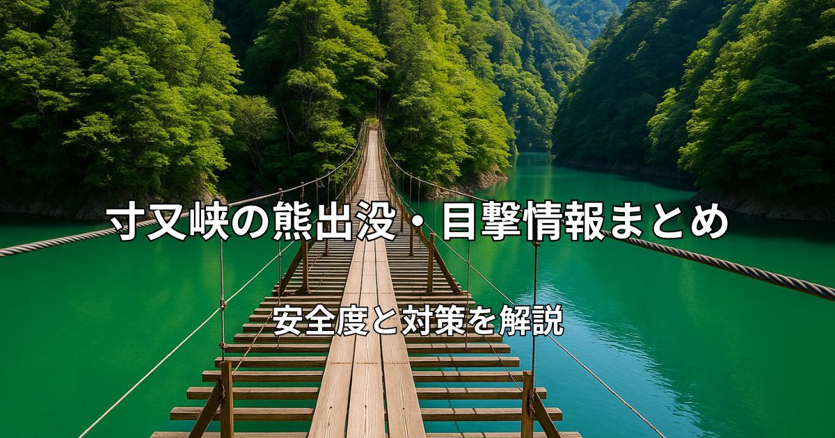 寸又峡のエメラルドグリーンの湖にかかる夢のつり橋と周囲の深い森の風景