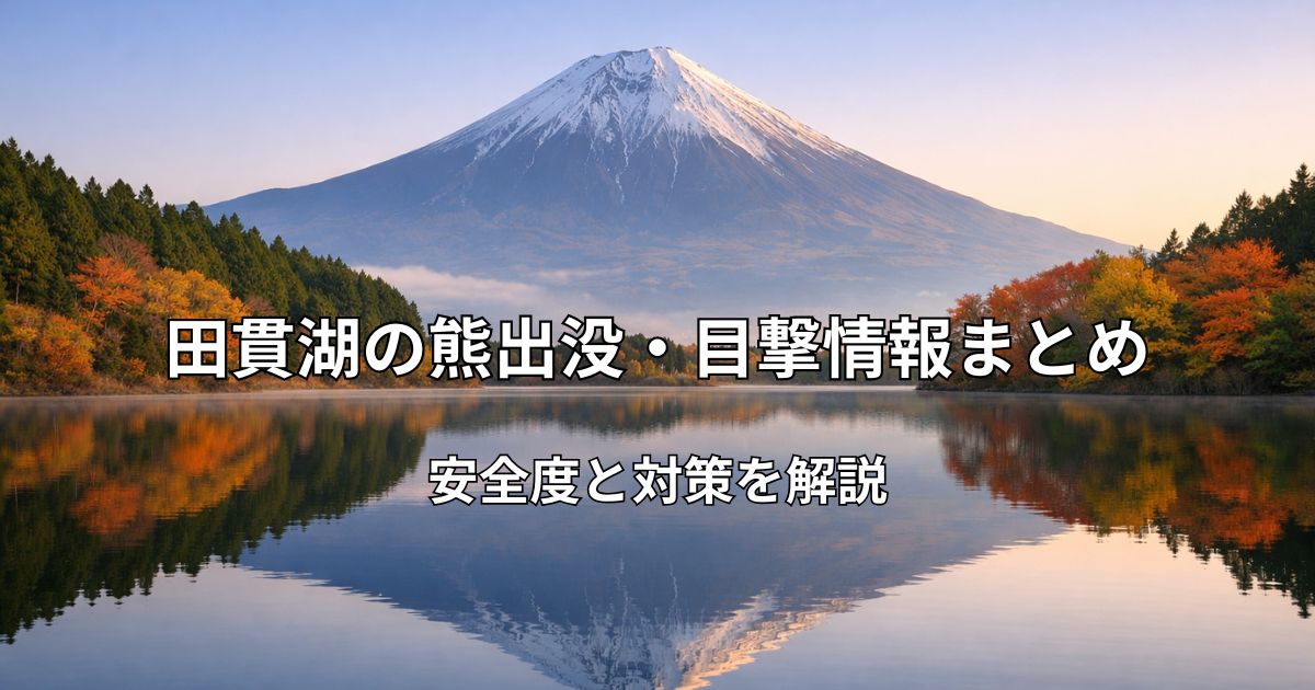 田貫湖と富士山の風景写真｜秋の早朝、湖面に富士山が映る穏やかな景色