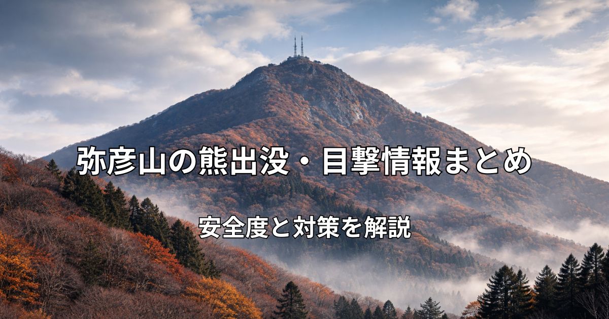 秋から初冬の弥彦山の遠景風景