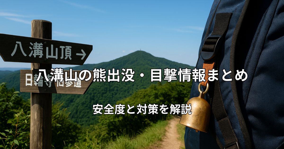 新緑の八溝山と登山道のイメージ