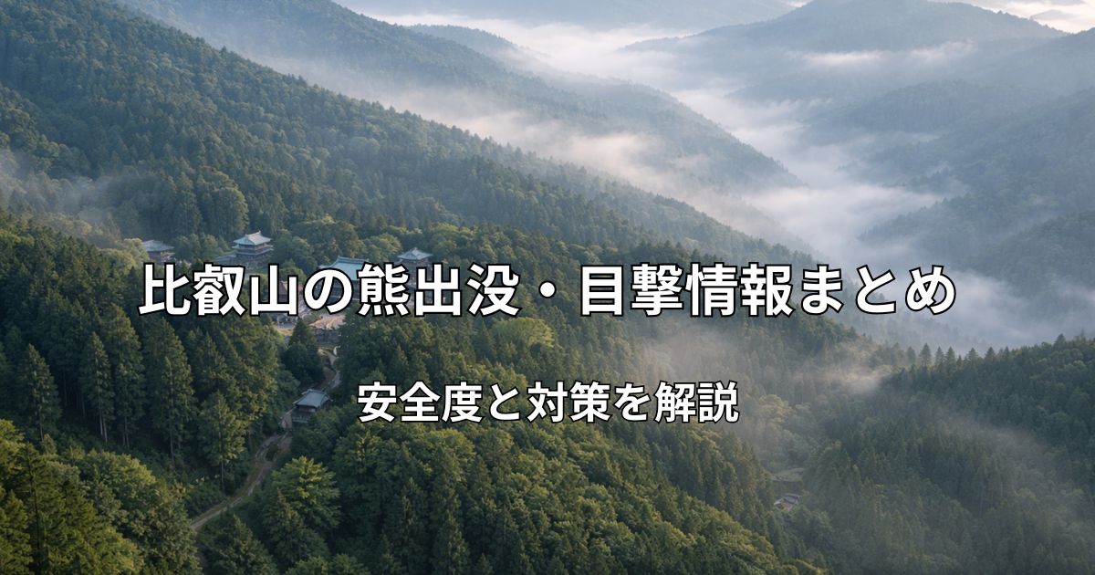 朝もやに包まれた比叡山と周辺の森林風景