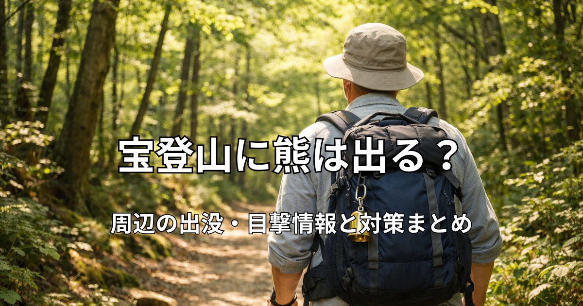 宝登山の登山道を歩くハイカーの後ろ姿。木漏れ日が差す森の中