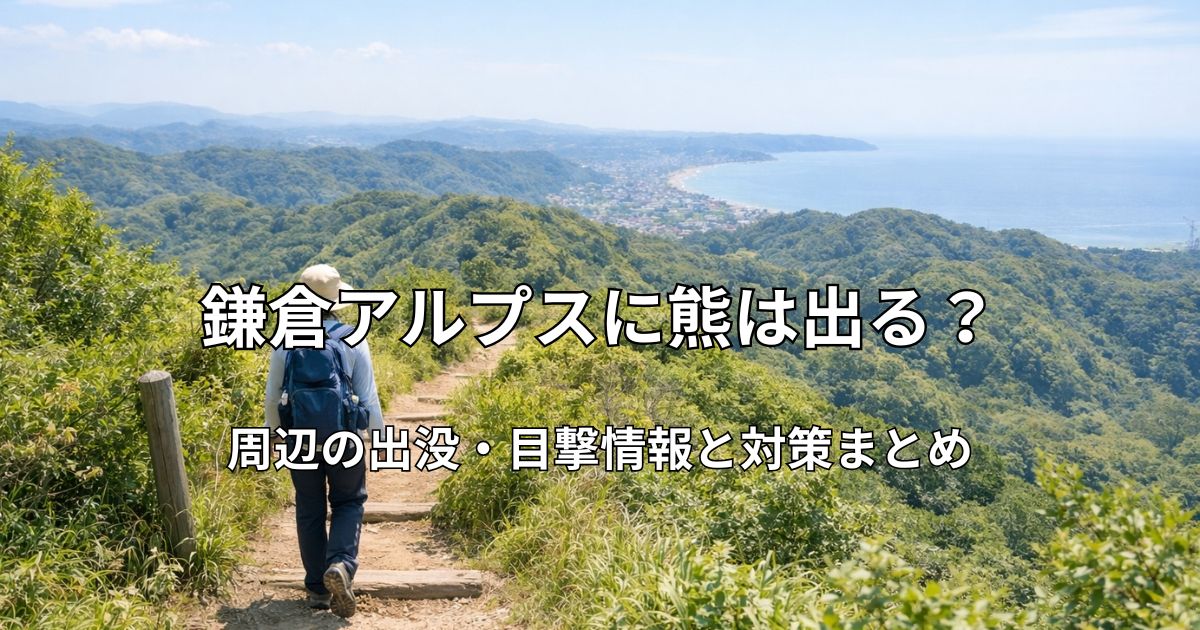 鎌倉アルプスの尾根道を歩くハイカーの後ろ姿と、緑豊かな低山の稜線