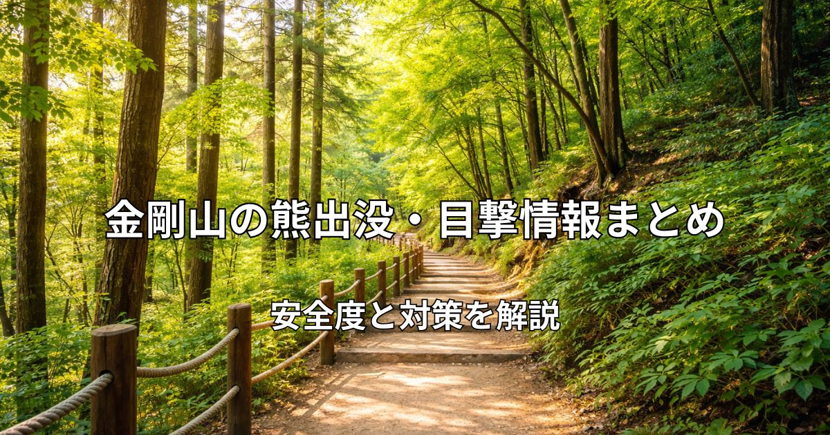 金剛山の整備された登山道と緑豊かな森林の風景