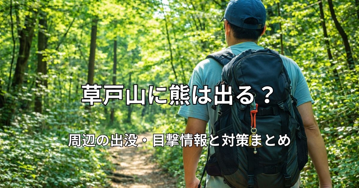 樹林帯の山道を歩く登山者の後ろ姿と木漏れ日