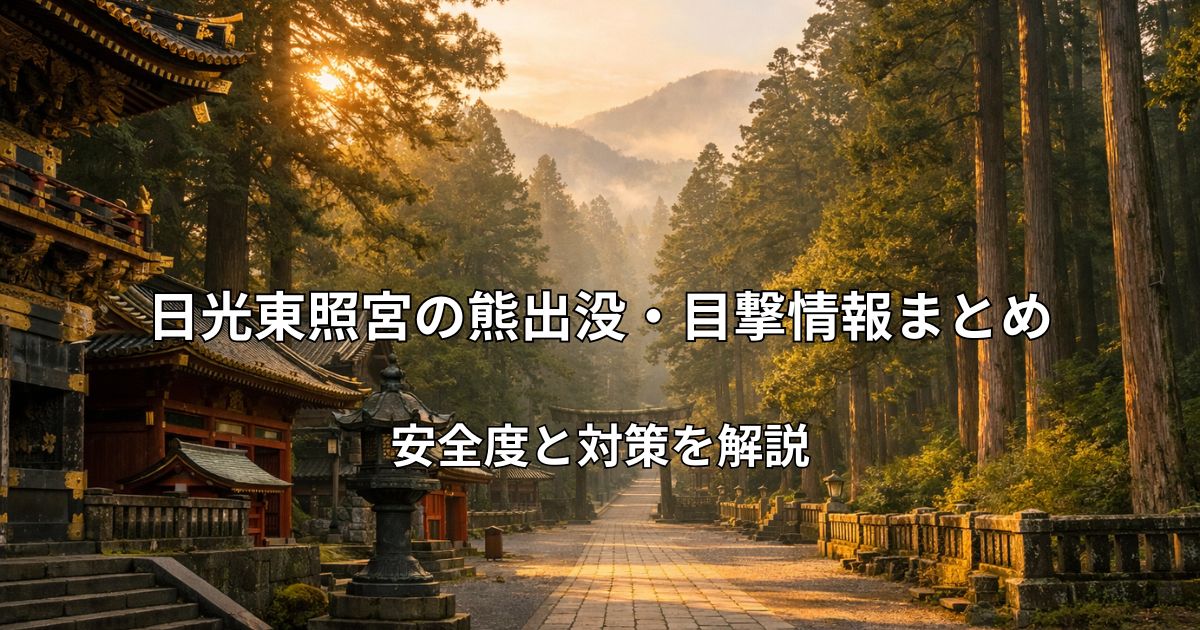 日光東照宮の参道と社殿の風景イメージ