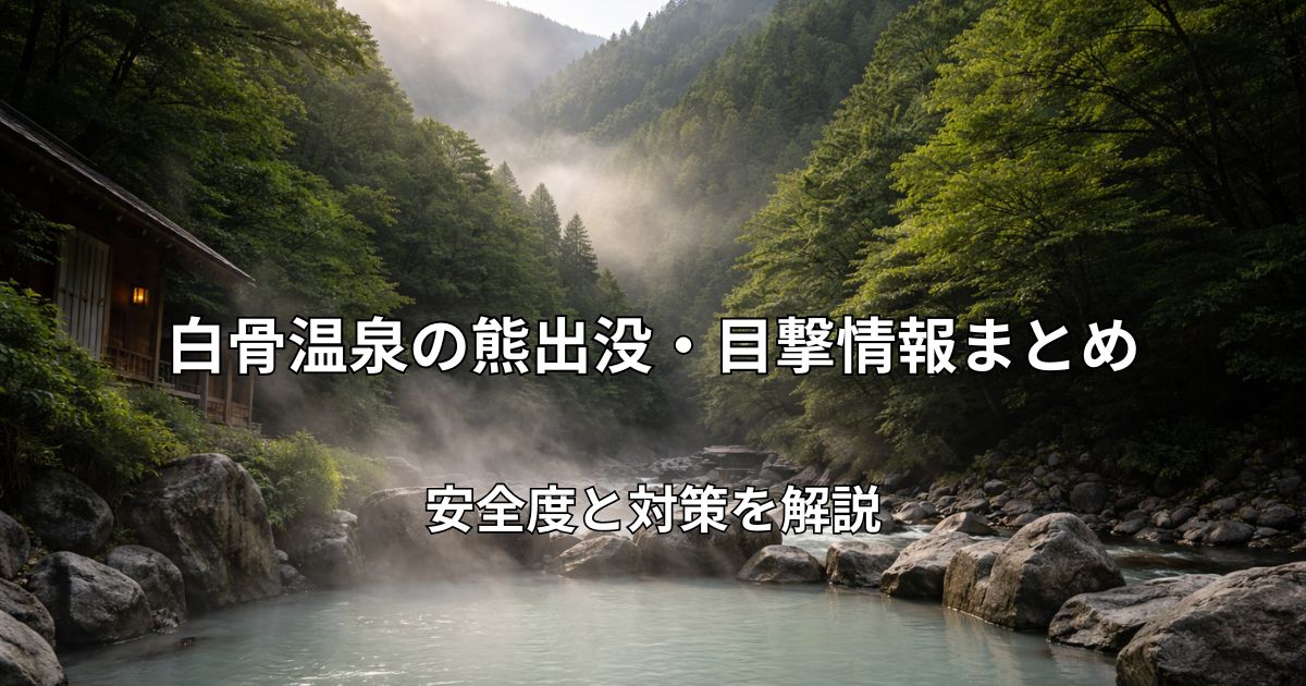 山々に囲まれた白骨温泉の渓谷風景、朝霧が立ち込める静かな山間の温泉地