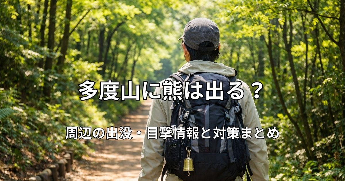 多度山の登山道を歩くハイカーの後ろ姿。木立の中を整備されたコースが続いている