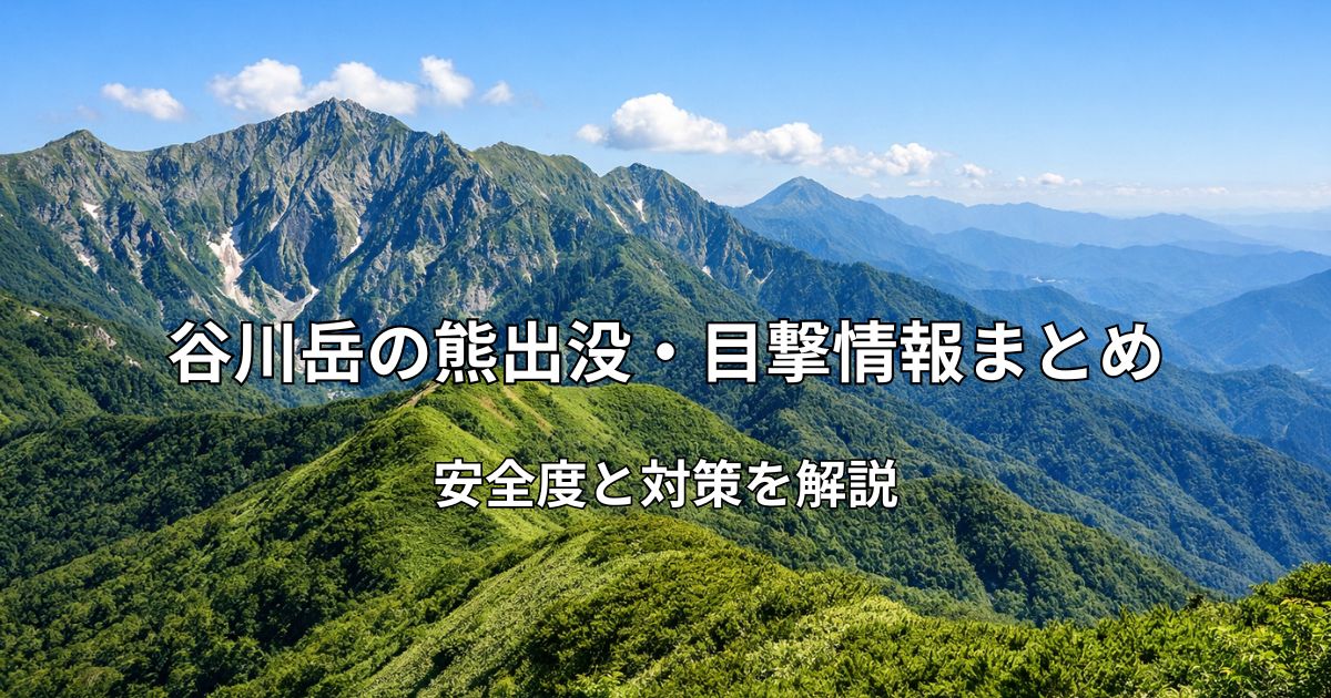 谷川岳の山並みと青空の風景