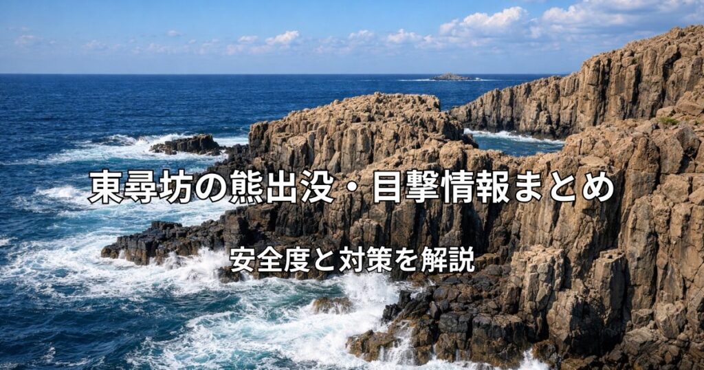 東尋坊の断崖絶壁と日本海の景色