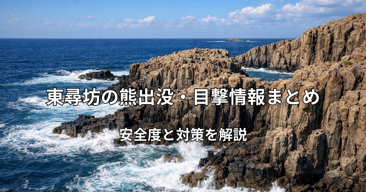 東尋坊の断崖絶壁と日本海の景色
