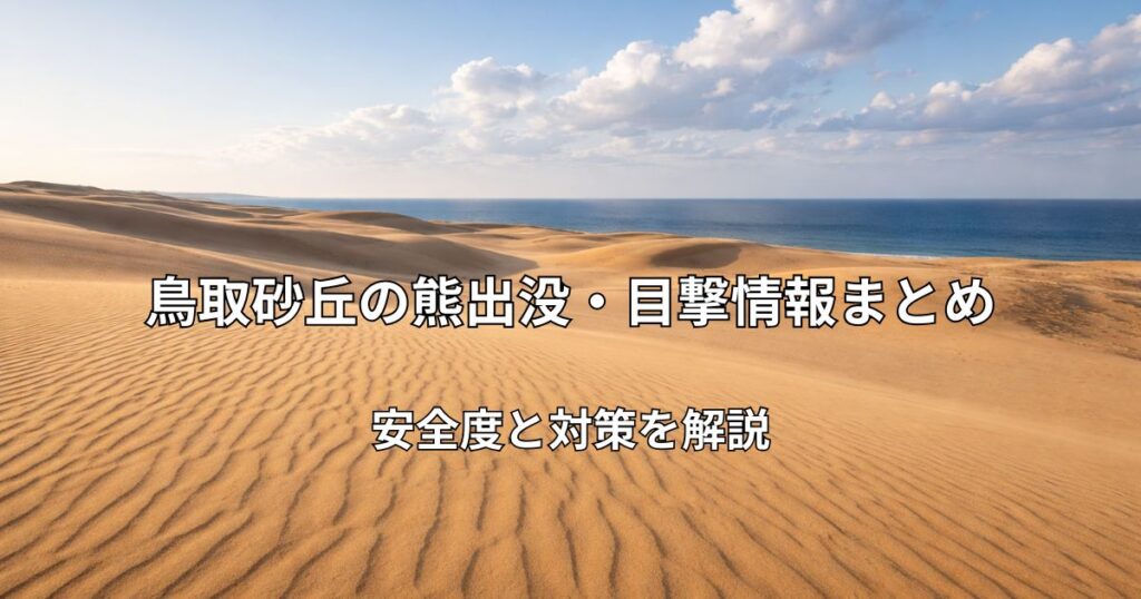 鳥取砂丘の広大な砂の風景と青空