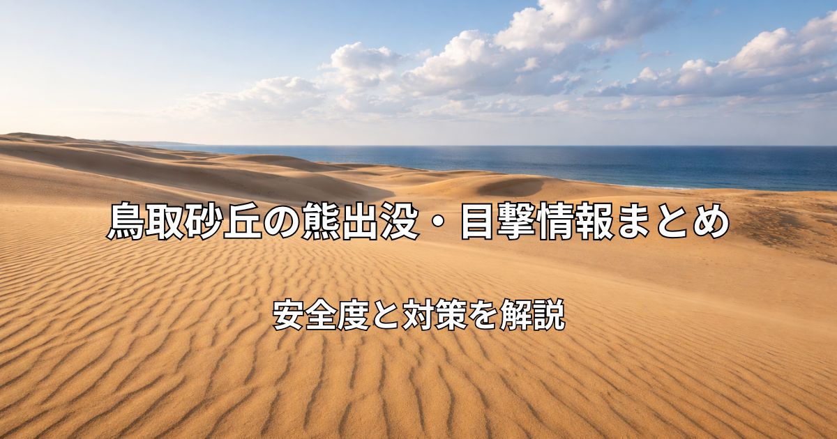 鳥取砂丘の広大な砂の風景と青空