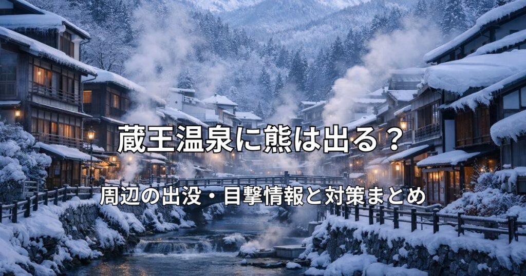 雪景色の蔵王温泉街と湯けむり、背景に雪山が見える冬の風景
