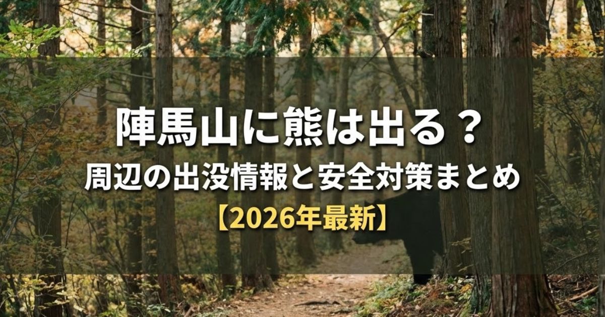 陣馬山の登山道をイメージした木漏れ日の差す林道と、木陰に潜むツキノワグマのシルエット。中央に「陣馬山に熊は出る?周辺の出没情報と安全対策まとめ【2026年最新】」の文字入りアイキャッチ画像。
