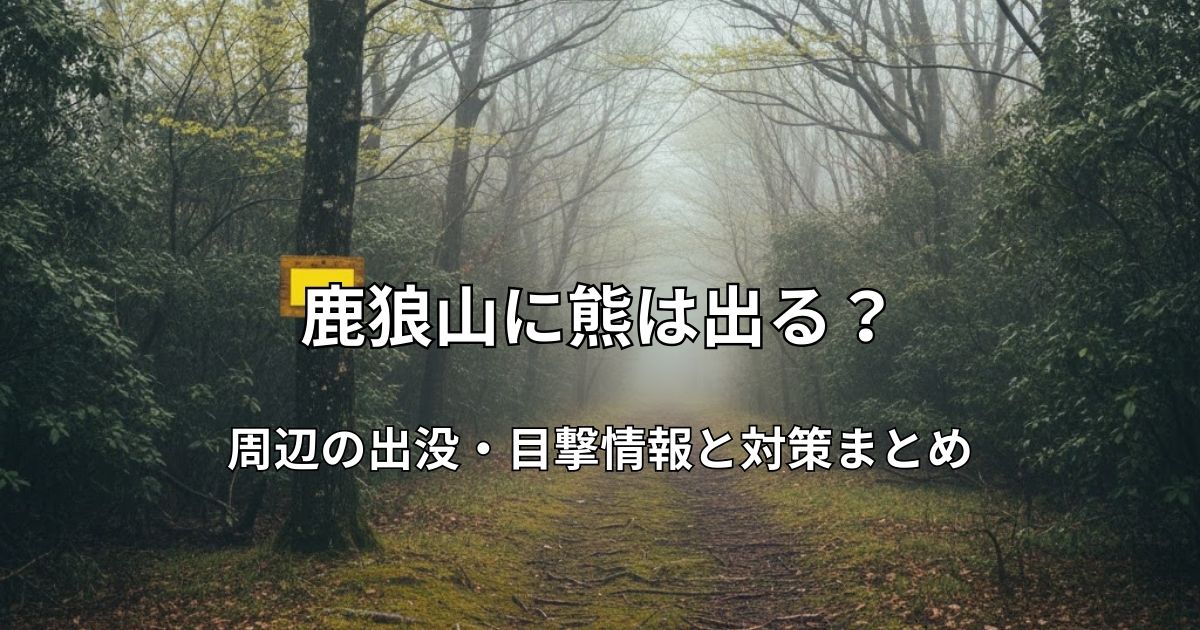 霧が立ち込める静かな森の登山道と、木に取り付けられた無地の黄色い警告看板。