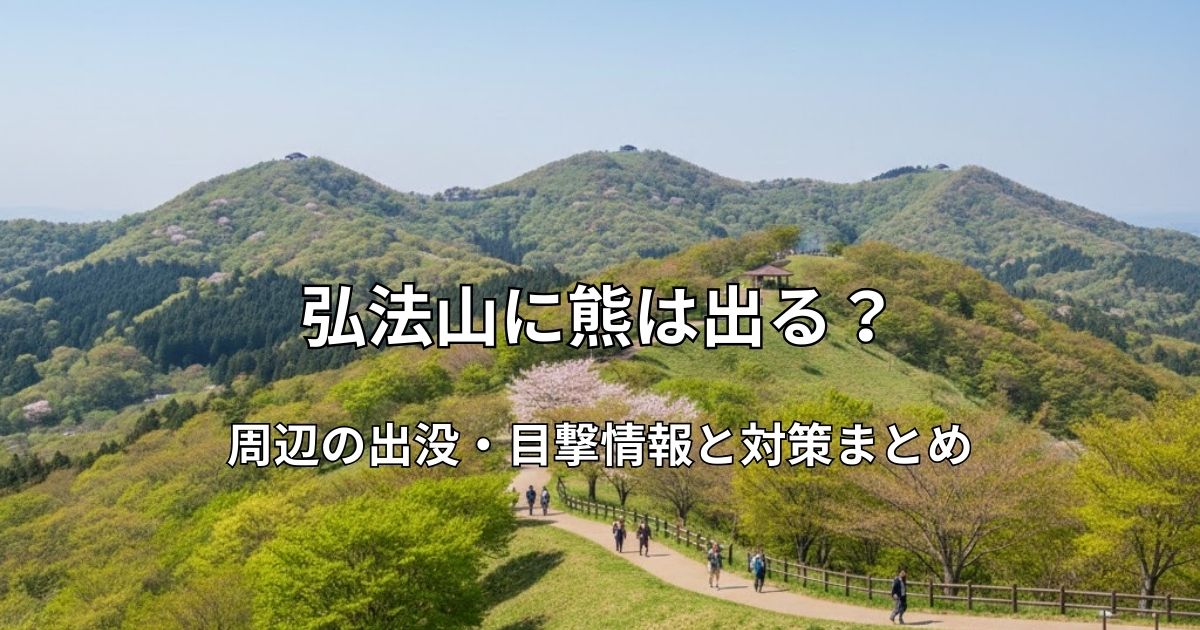 新緑の弘法山公園の全景。なだらかな山並みと整備された遊歩道を歩くハイカーの風景。