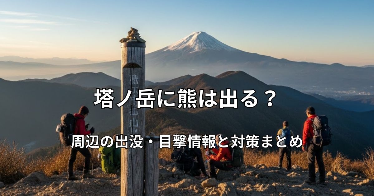塔ノ岳の山頂から、朝日に照らされた富士山を望む風景。中央に山頂標、周囲に休憩するハイカーの姿がある。