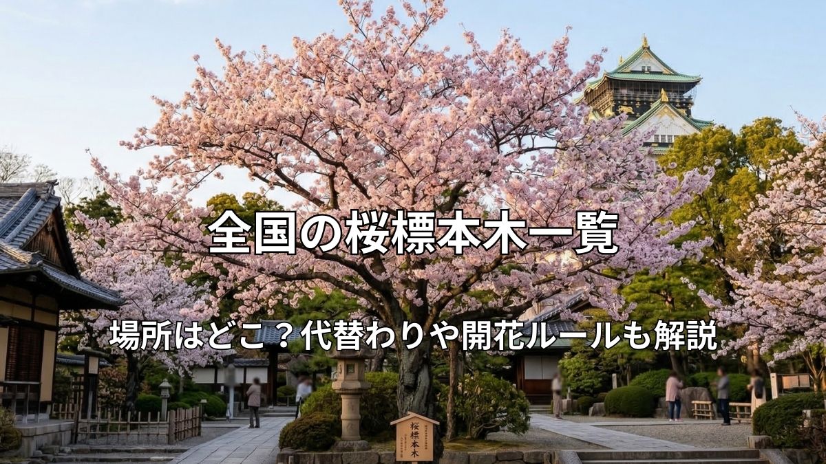春の柔らかな日差しの中、満開に咲き誇る一本の大きな桜の標本木。背景には和風の庭園と青空が広がる。