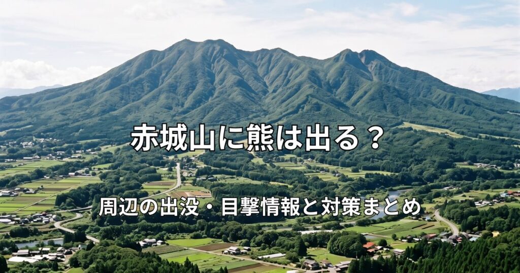 赤城山の全景を遠くから俯瞰した風景。山麓に広がる街並みと豊かな自然が広がる様子。