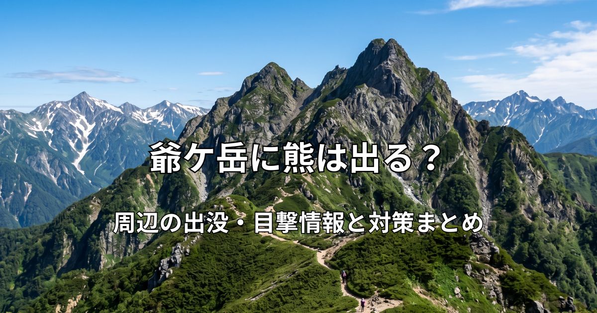 青空の下に広がる爺ヶ岳の稜線と柏原新道の登山道。手前には高山植物が咲き、遠くに北アルプスの山々が連なる風景。