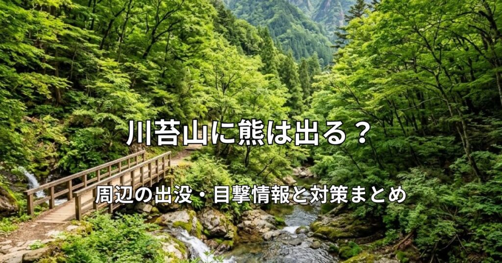 川苔山の登山道。新緑の木々に囲まれた沢沿いの木橋と美しい渓流の風景