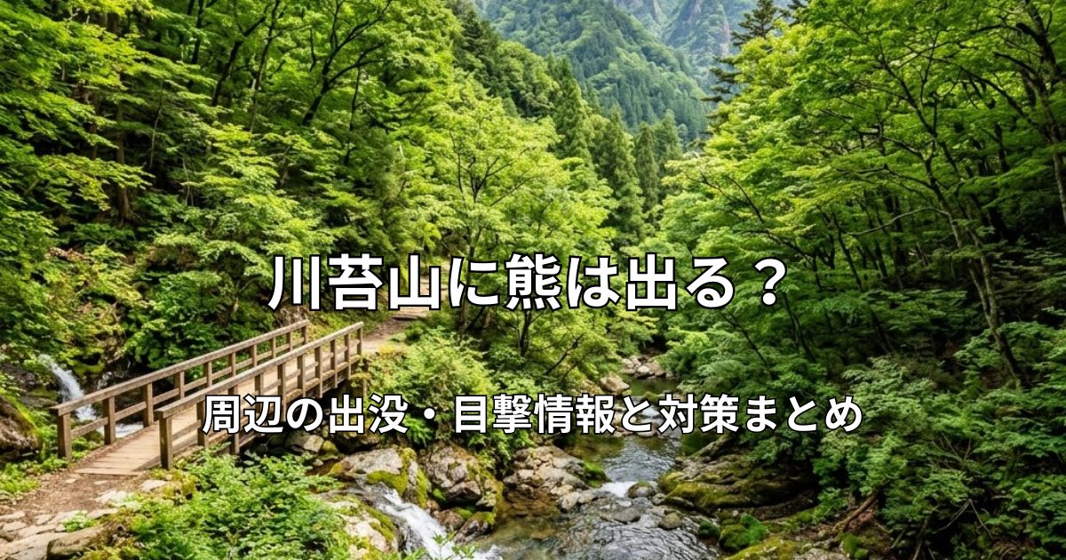 川苔山の登山道。新緑の木々に囲まれた沢沿いの木橋と美しい渓流の風景